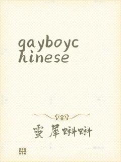 gayboychinese
