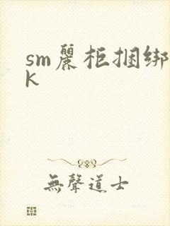 sm丽柜捆绑vk封面
