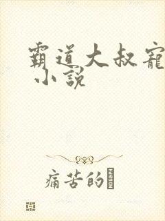 霸道大叔宠甜妻 小说