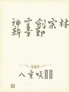 神霄剑宗林枫最新章节