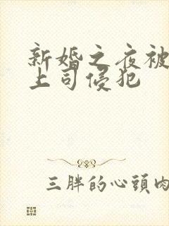 新婚之夜被夫的上司侵犯