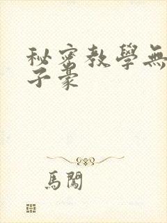 秘密教学无删减子豪