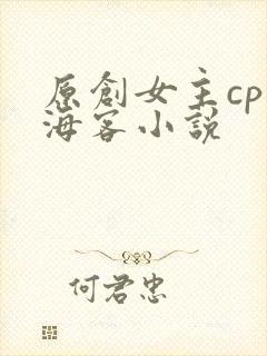 原创女主cp张海客小说