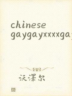 chinesegaygayxxxxgaygay