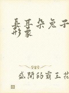 长耳朵兔子卡通形象封面