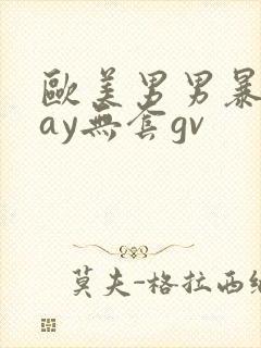 欧美男男暴菊gay无套gv