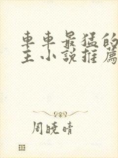 车车最猛的双男主小说推荐