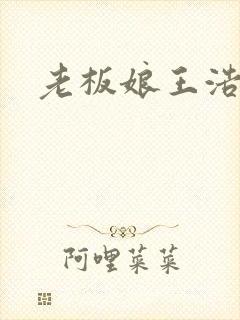 老板娘王浩小说封面