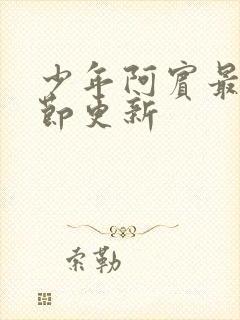 少年阿宾最新章节更新