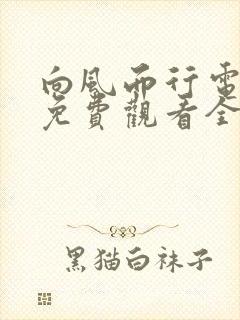 向风而行电视剧免费观看全集九集