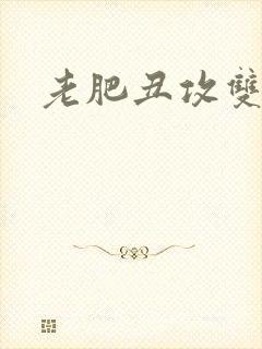 老肥丑攻双性受