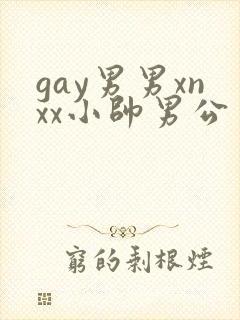 gay男男xnxx小帅男公司