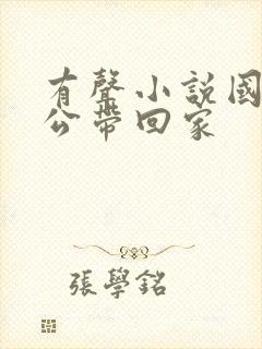 有声小说国民老公带回家