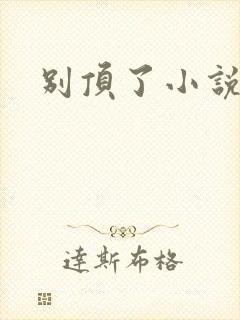 别顶了小说封面