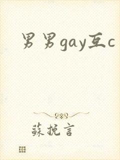男男gay互c
