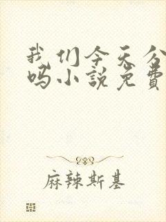 我们今天分手了吗小说免费阅读