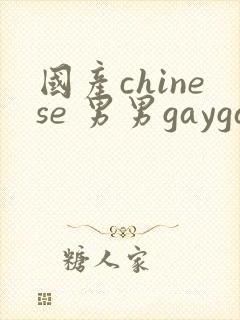 国产chinese 男男gaygay网站封面