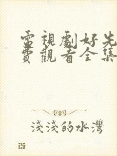 电视剧好先生免费观看全集完整版