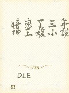 暗恋了三年的女神王媛小说阅读