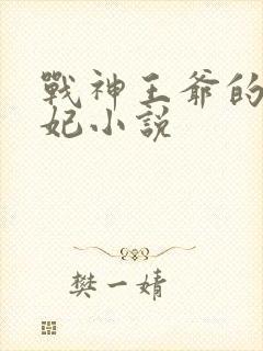 战神王爷的小医妃小说封面