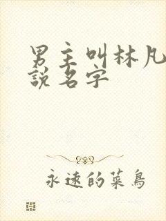 男主叫林凡的小说名字