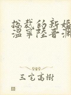 总裁的新婚罪妻温宁陆晋渊封面