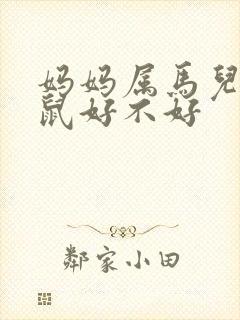 妈妈属马儿子属鼠好不好封面
