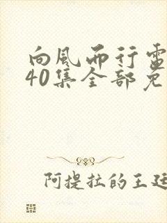 向风而行电视剧40集全部免费观看