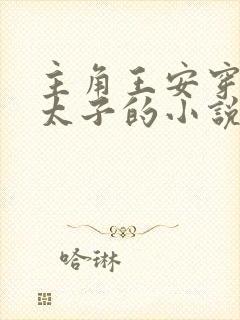 主角王安穿越成太子的小说