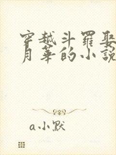 穿越斗罗娶了唐月华的小说