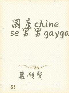 国产chinese男男gaygay网站