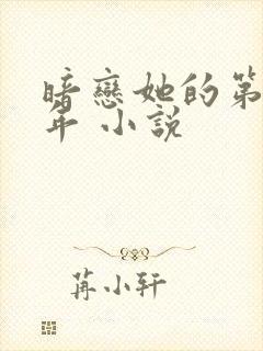 暗恋她的第十一年 小说封面