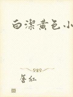 白洁黄色小说