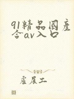 91精品国产综合av入口
