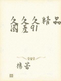 久久久精品精品国产91