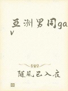 亚洲男同gayv