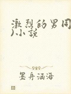 激烈的男同(h)小说