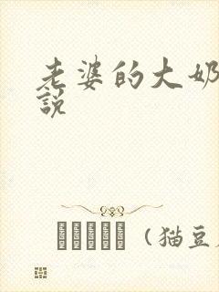 老婆的大奶子小说