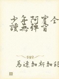 少年阿宾全文阅读无弹窗封面