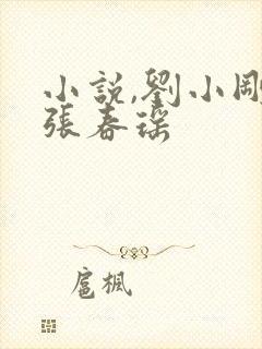 小说,刘小刚和张春瑶