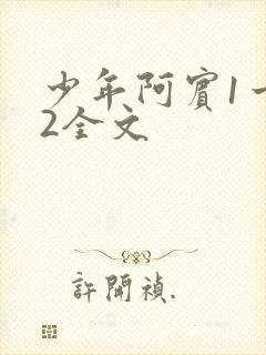 少年阿宾1一72全文封面