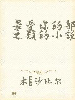 最爱你的那十年之类的小说