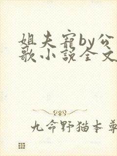 姐夫宠by公子歌小说全文免费阅读封面