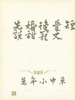 先婚后爱短篇小说甜宠文封面