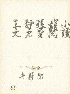 王静张娟小说全文免费阅读封面