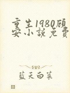 重生1980顾安小说免费阅读最新章节