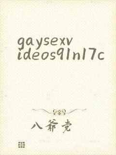 gaysexvideos91n17c