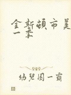 金斯顿市美剧第一季