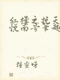 红楼之挽天倾林悦南兮笔趣阁