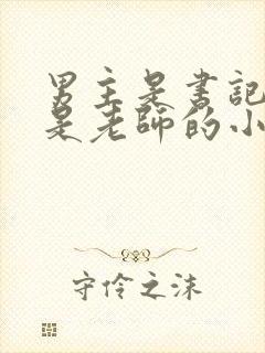 男主是书记女主是老师的小说封面